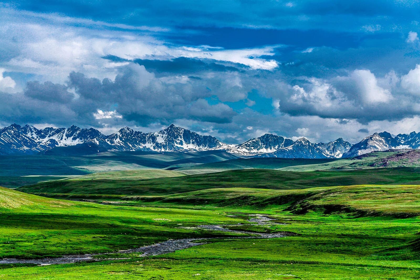 Deosai Land Of Giants