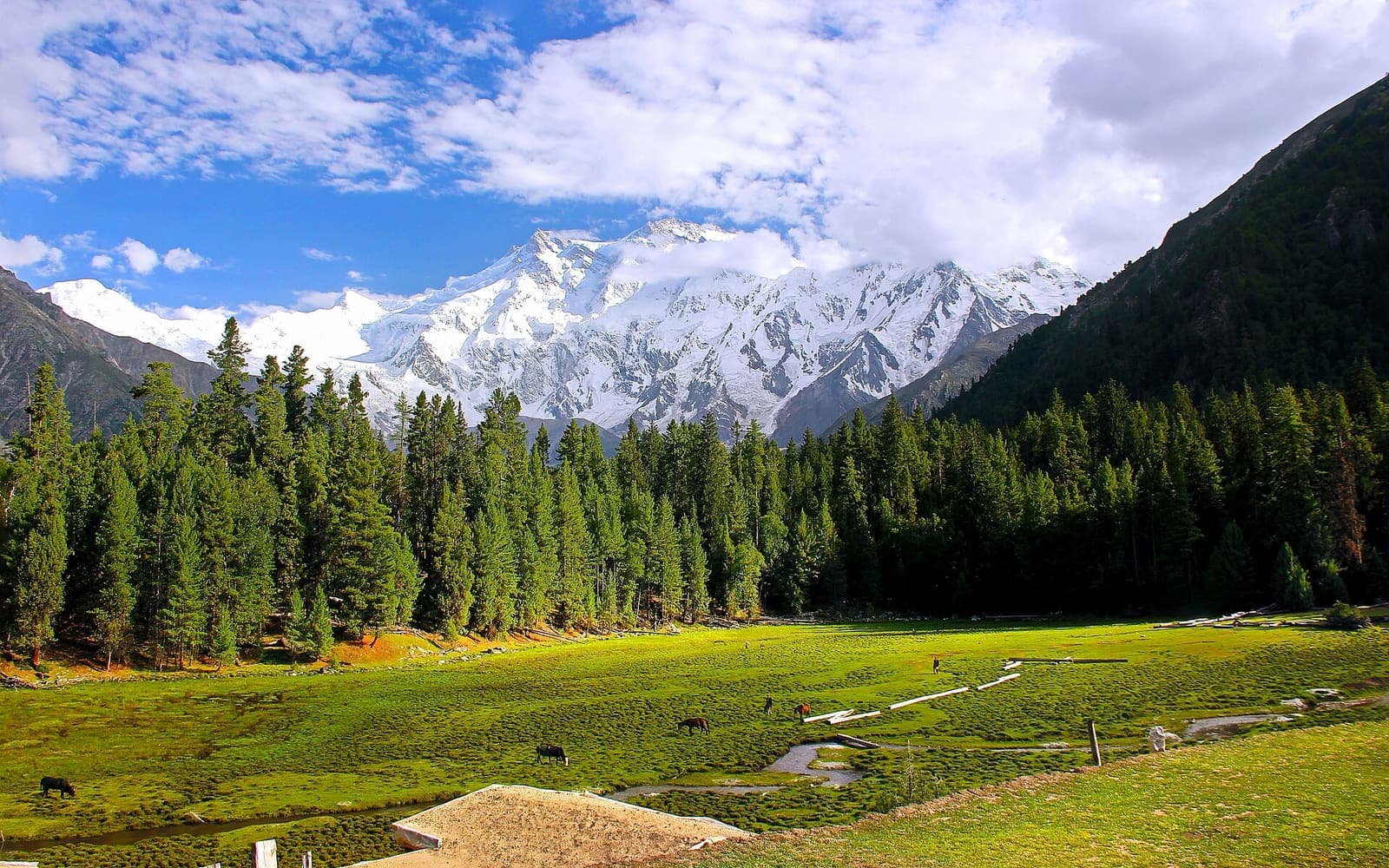 Fairy Meadows Trek - image 1