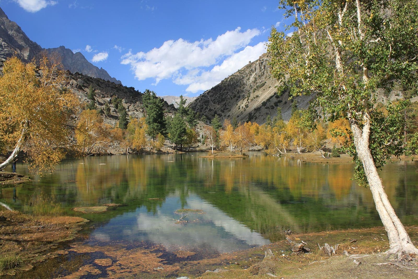 Naltar Lake Autumn