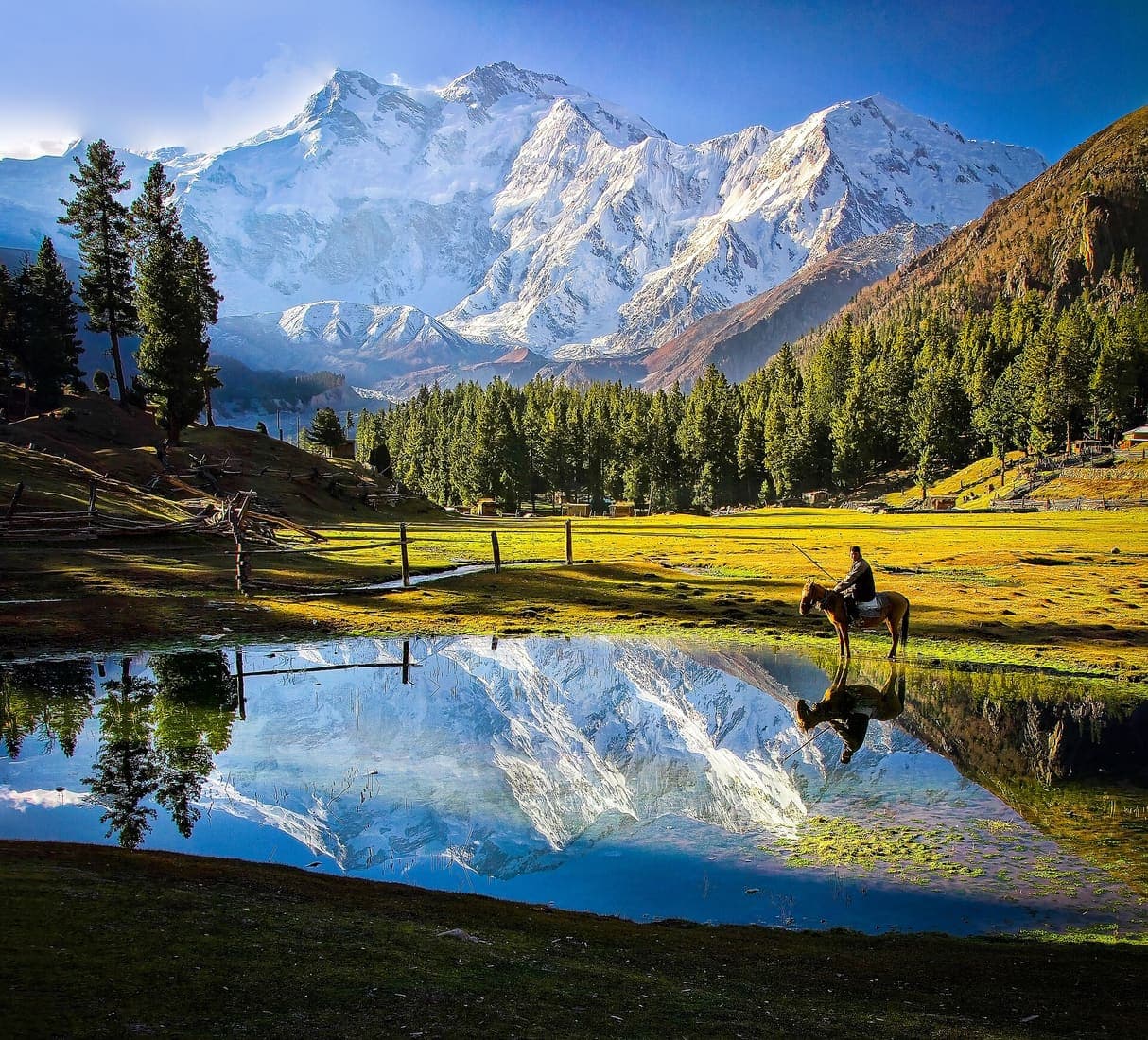 Nanga Parbat reflected in a still mountain lake, Gilgit-Baltistan